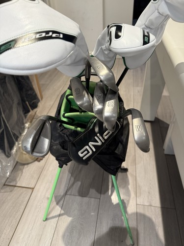 Ping prodi junior - g,